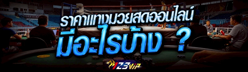 ราคาแทงมวยสดออนไลน์ มีอะไรบ้าง ?