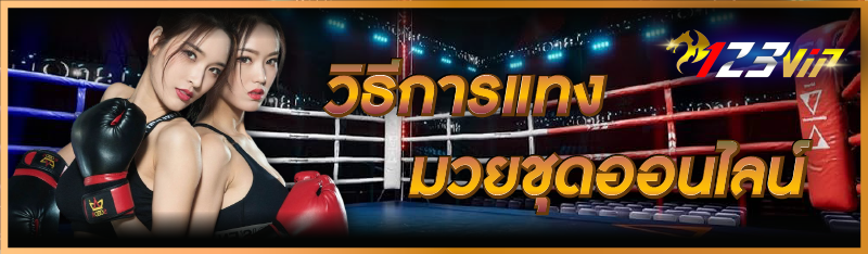 วิธีการ แทงมวยชุดออนไลน์